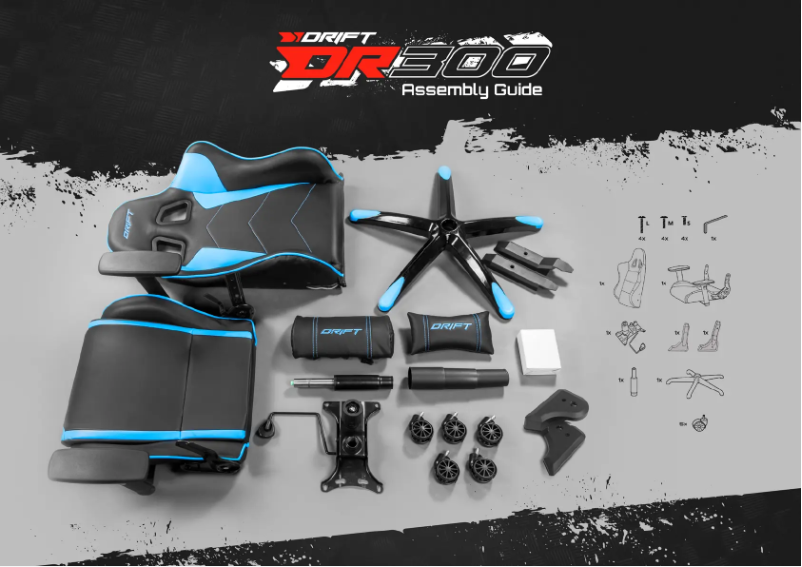 Image de la première page du manuel de l'appareil DR300