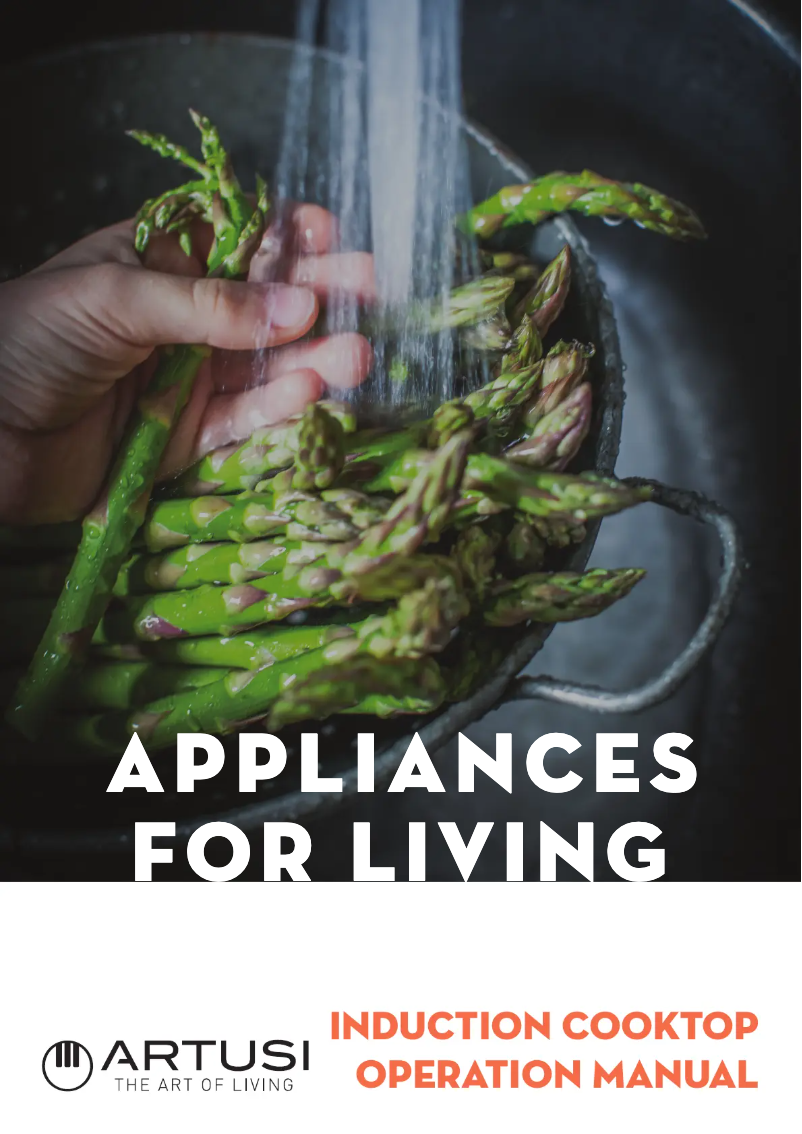 Page 1 de la notice Manuel utilisateur Artusi AID2000