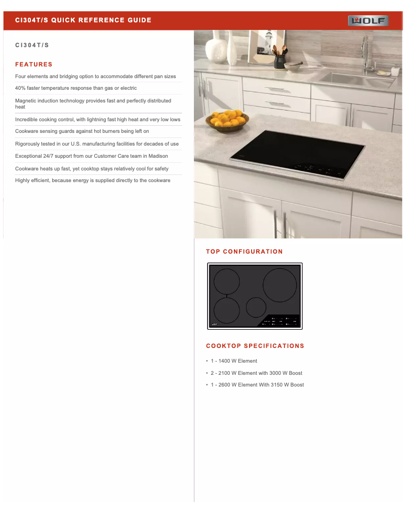 Page 1 de la notice Fiche technique Wolf CI304T/S