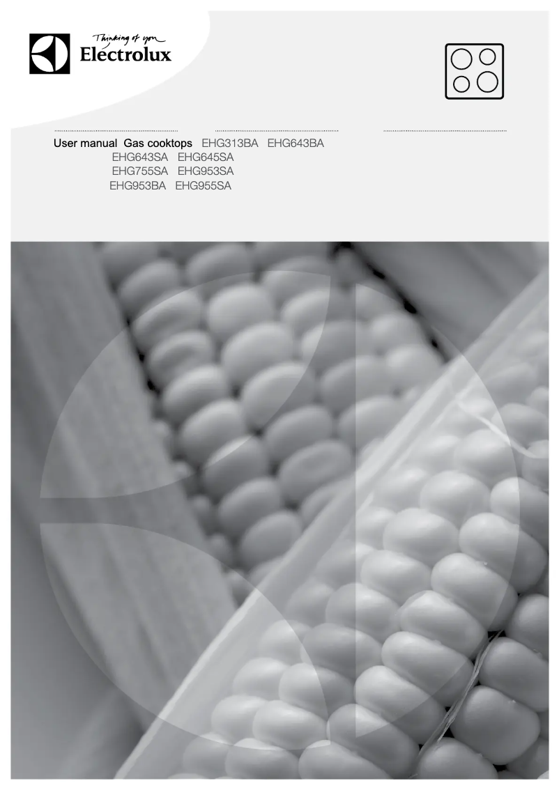 Page 1 de la notice Manuel utilisateur Electrolux EHG645SA