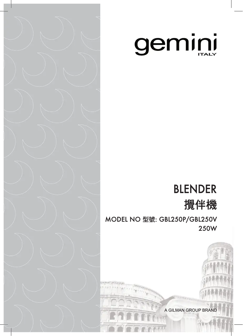 Page 1 de la notice Manuel utilisateur Gemini GBL250V