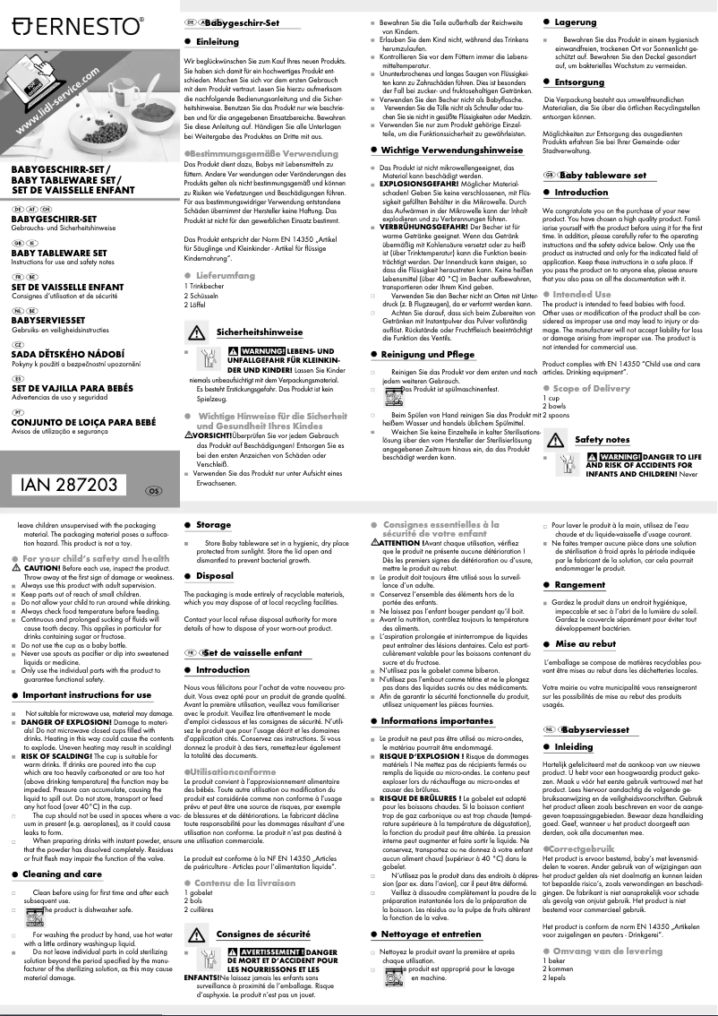 Page n°1 - Manuel utilisateur Ernesto IAN 287203