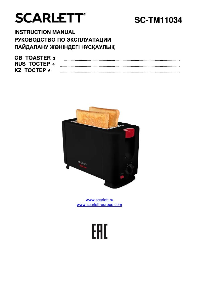 Image de la première page du manuel de l'appareil With Love SC-TM11034