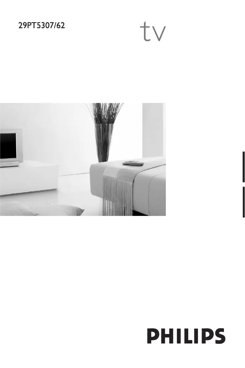 Page n°1 - Manuel utilisateur Philips 29PT5307