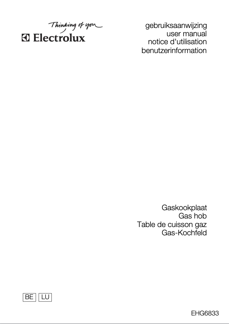 Page 1 de la notice Manuel utilisateur Electrolux EHG6833R