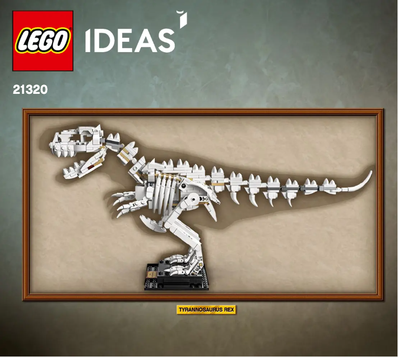 Page n°1 - Manuel utilisateur Lego Dinosaur Fossils 21320