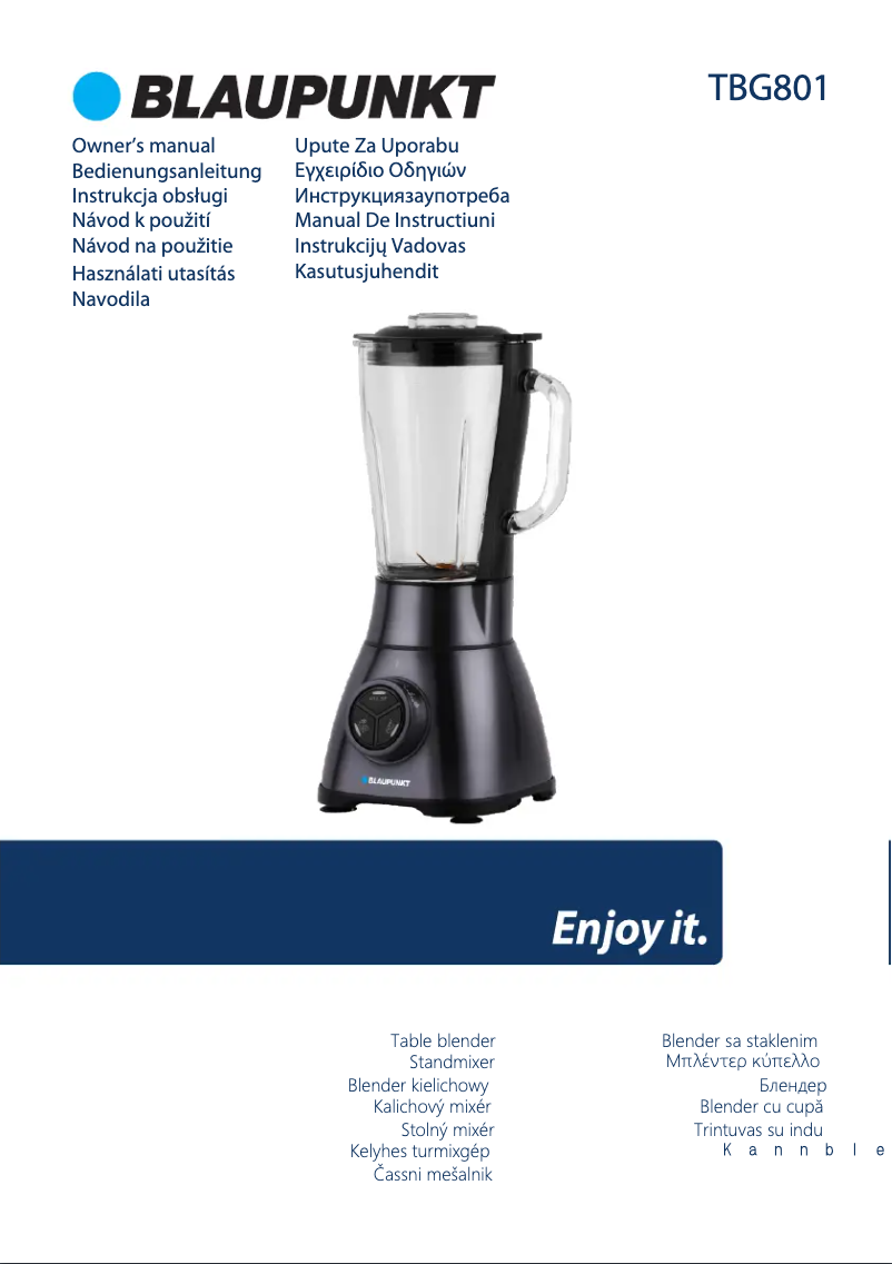 Page n°1 - Manuel utilisateur Blaupunkt TBG801