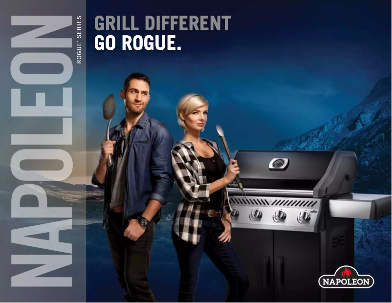 Page n°1 - Brochure Napoleon Rogue 425 BE SIB