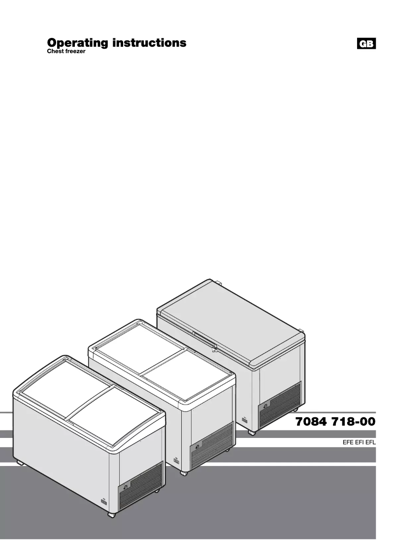 Image de la première page du manuel de l'appareil EFI 2753