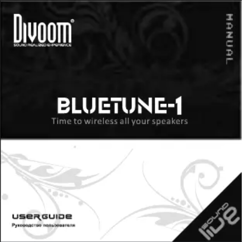 Page 1 de la notice Manuel utilisateur Divoom Bluetune 1