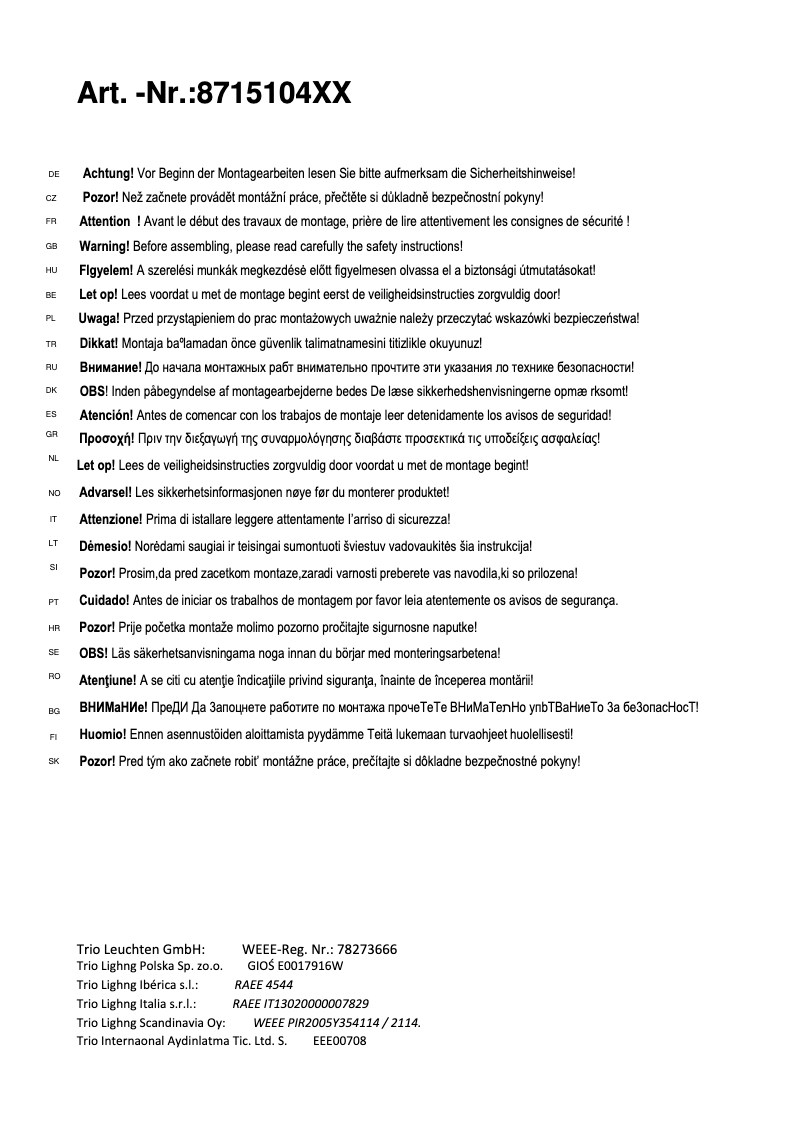 Page 1 de la notice Manuel utilisateur Trio Lighting Carico 871510407