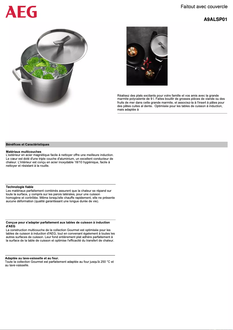 Page 1 de la notice Fiche technique AEG A9ALSP01