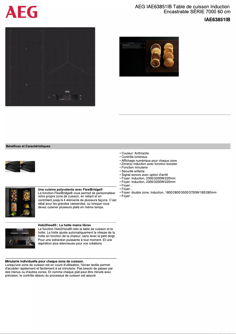 Page 1 de la notice Fiche technique AEG IAE63851IB