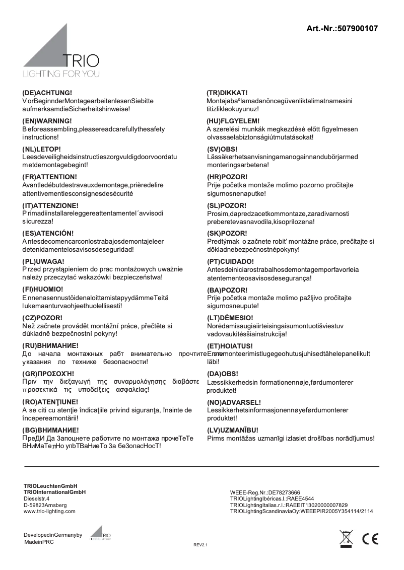 Page 1 de la notice Manuel utilisateur Trio Lighting Arcor 507900107