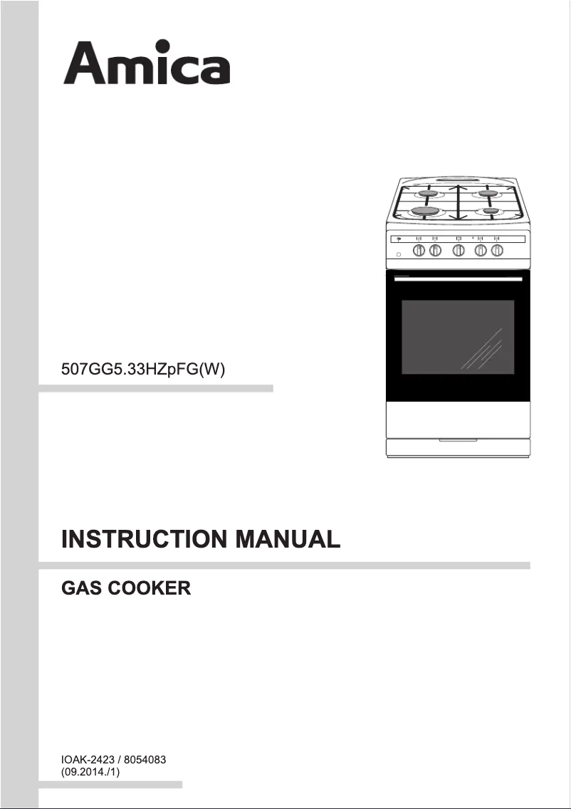 Page n°1 - Manuel utilisateur Amica 508GG5