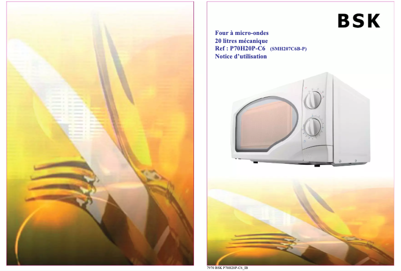 Page 1 de la notice Manuel utilisateur BSK P70H20P-C6