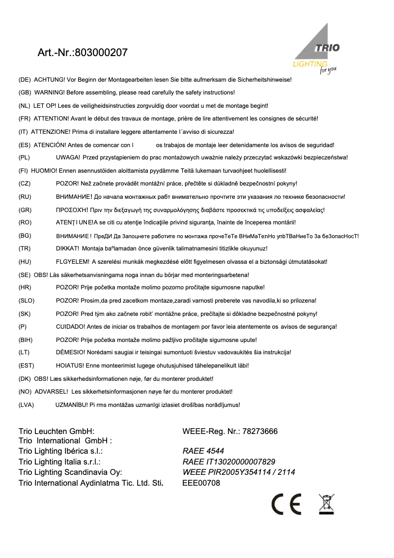 Page 1 de la notice Manuel utilisateur Trio Lighting Michael 803000207