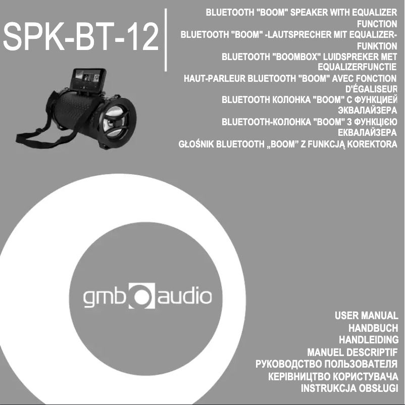 Image de la première page du manuel de l'appareil SPK-BT-12