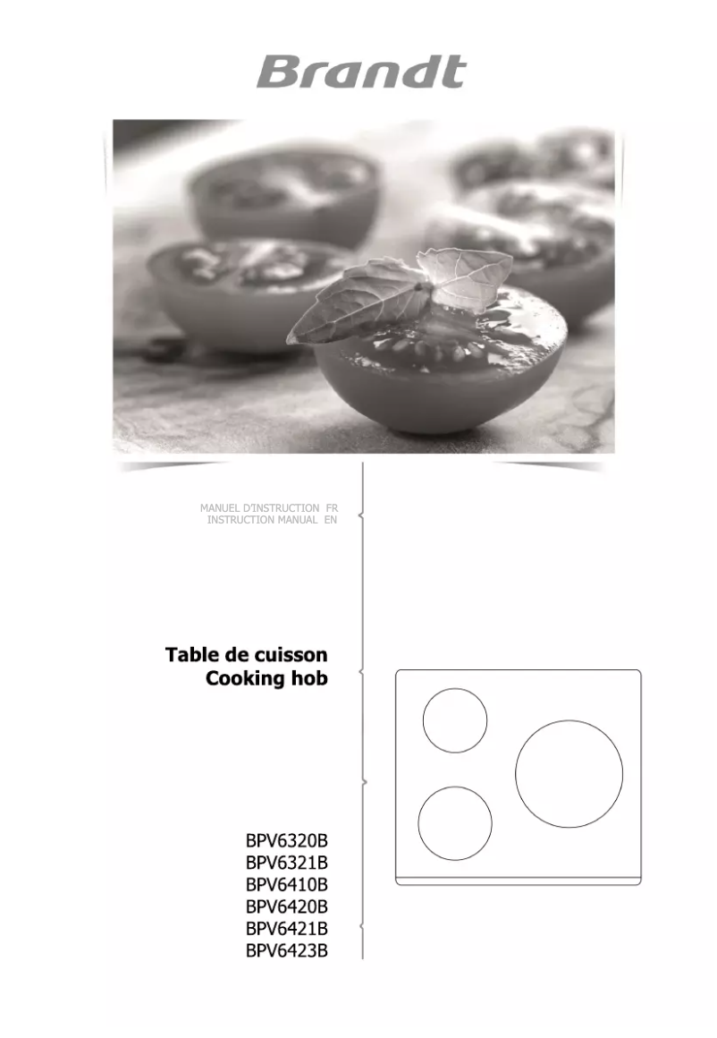 Image de la première page du manuel de l'appareil BPV6320B