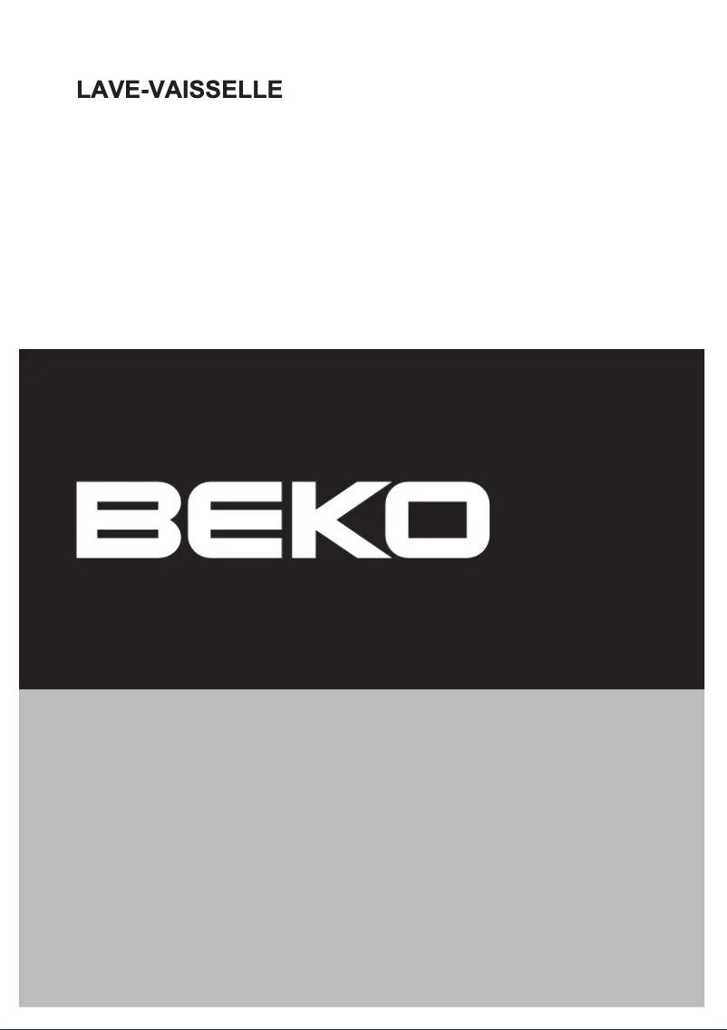 Page 1 de la notice Manuel utilisateur Beko DSN 2532 X