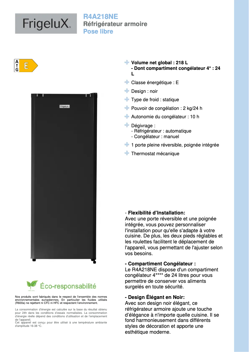 Image de la première page du manuel de l'appareil R4A218NE