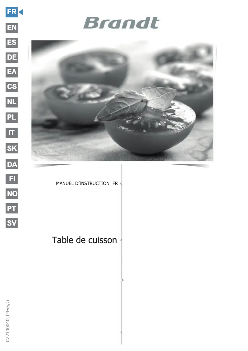 Page 1 de la notice Manuel utilisateur Brandt BPI184HUB