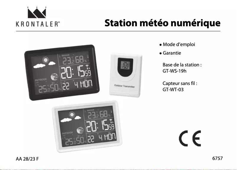 Imagen de la primera página del manual del dispositivo GT-WS-19