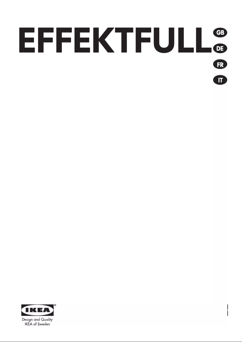 Image de la première page du manuel de l'appareil EFFEKTFULL