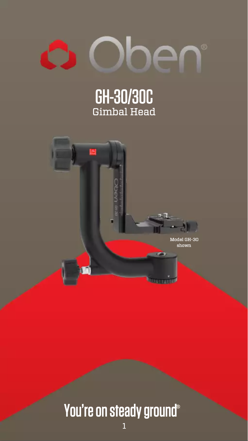 Image de la première page du manuel de l'appareil GH-30