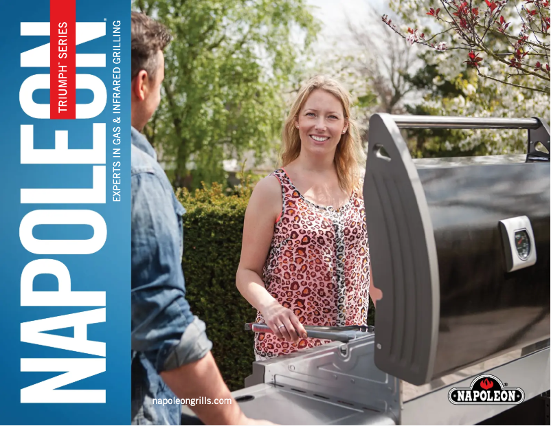 Página 1 del manual Ficha técnica Napoleon T410SBP