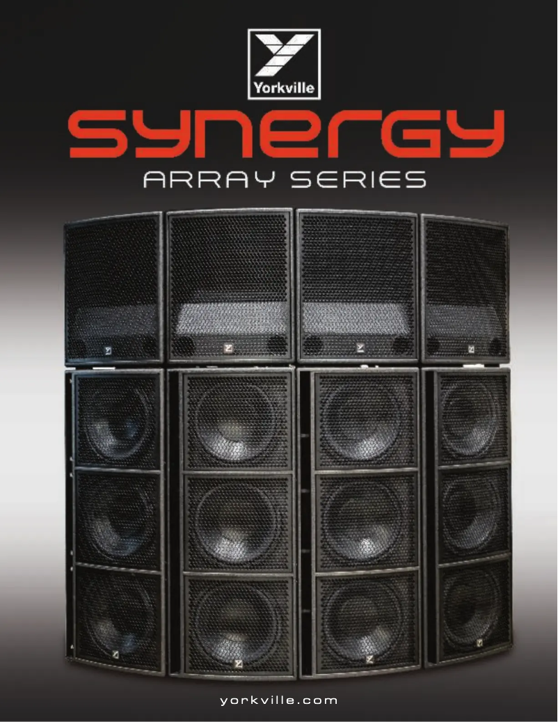 Image de la première page du manuel de l'appareil Synergy SA315S