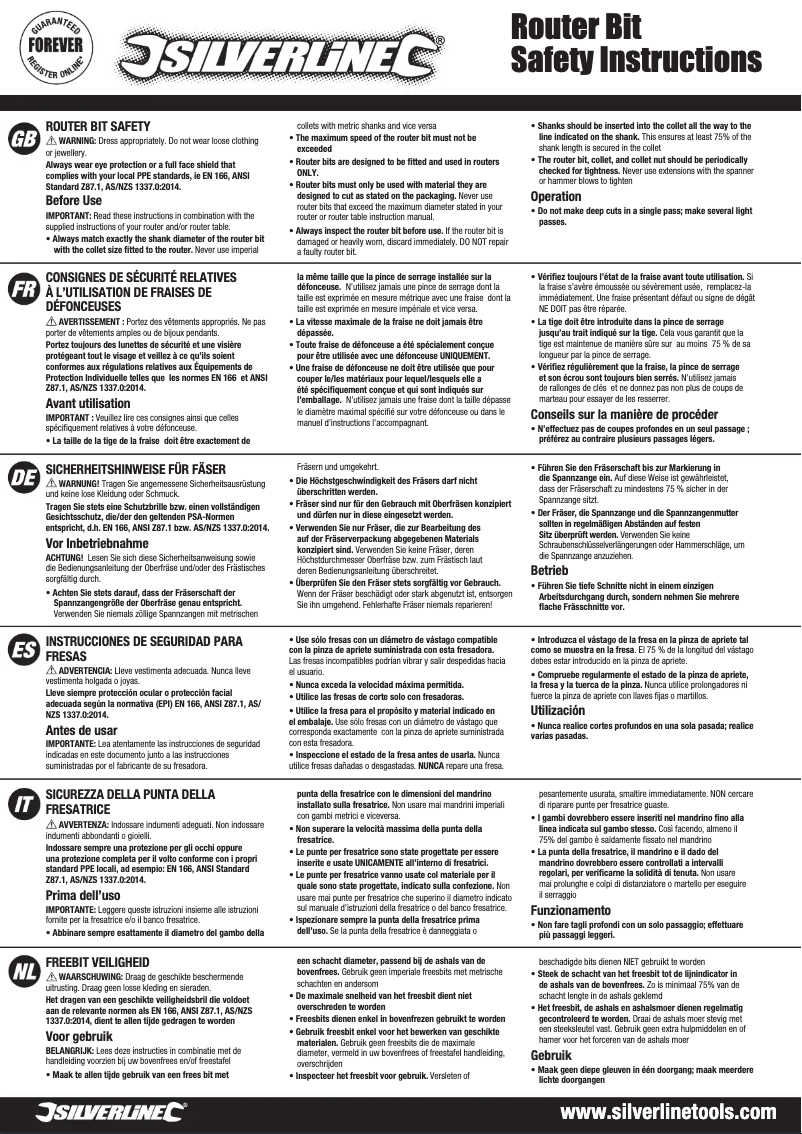 Page n°1 - Manuel utilisateur Silverline 868596