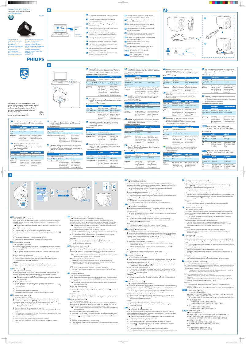 Image de la première page du manuel de l'appareil BT1300