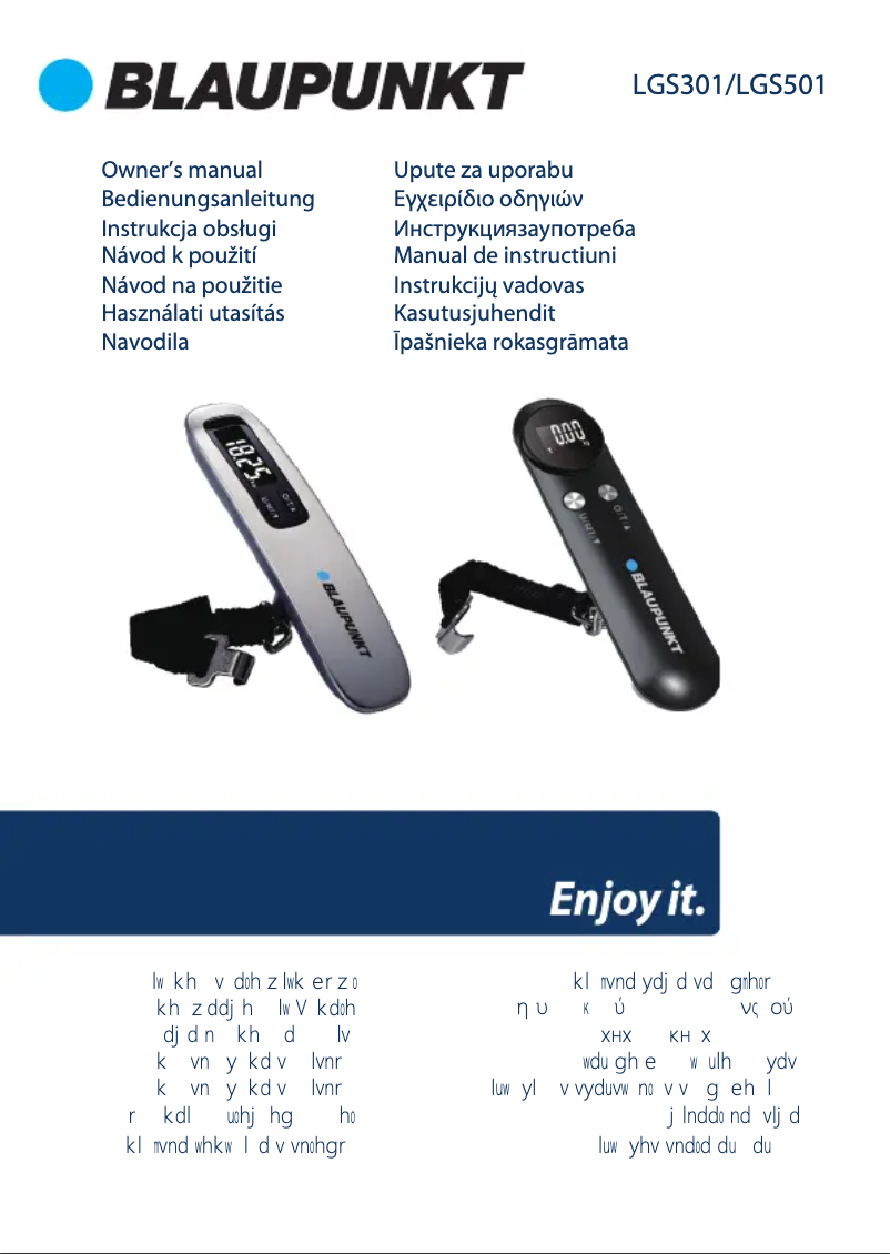 Page 1 de la notice Manuel utilisateur Blaupunkt LGS501