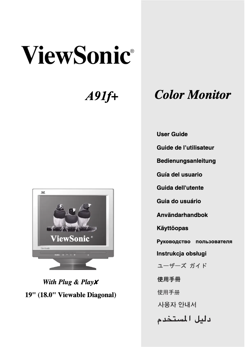 Página 1 del manual Manual de usuario Viewsonic A91F