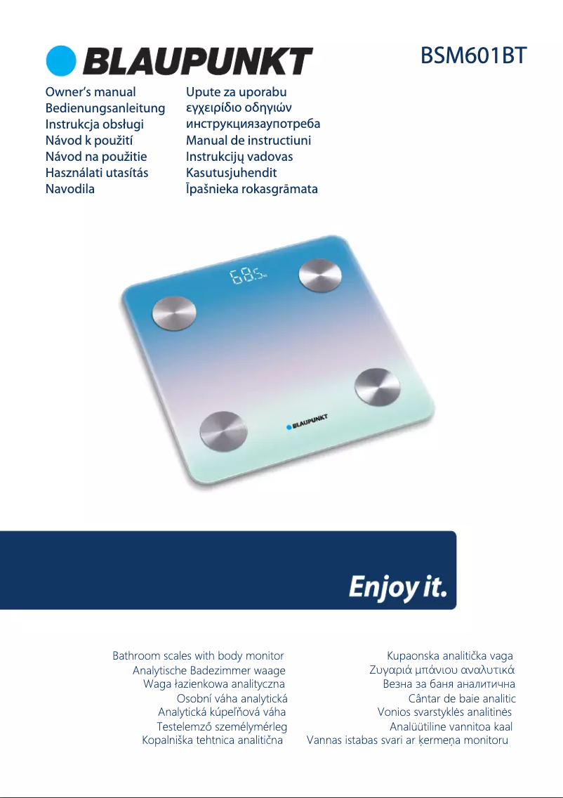 Page 1 de la notice Manuel utilisateur Blaupunkt BSM601BT