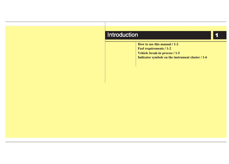 First page image of the manual for i20 (2009)
