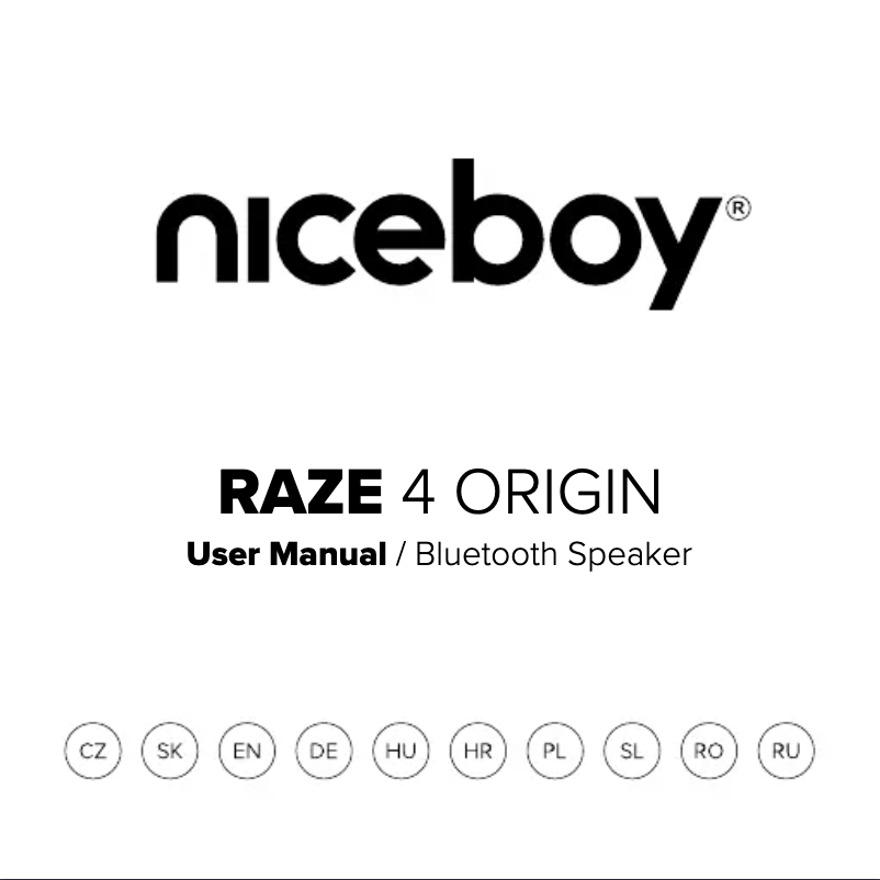 Page 1 de la notice Manuel utilisateur Niceboy RAZE 4 Origin