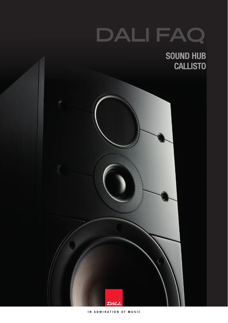 Image de la première page du manuel de l'appareil Sound Hub