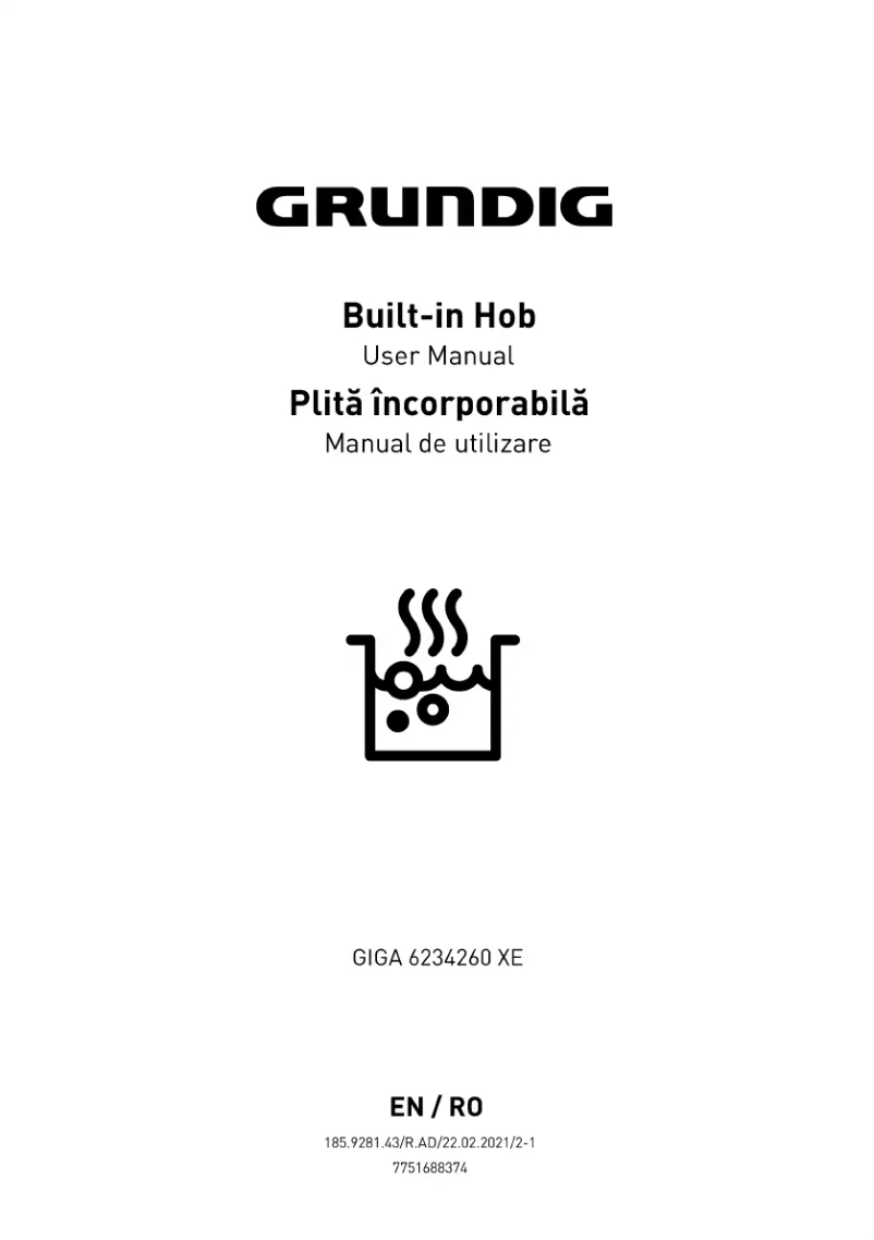 Page 1 de la notice Manuel utilisateur Grundig GIGA6234260XE