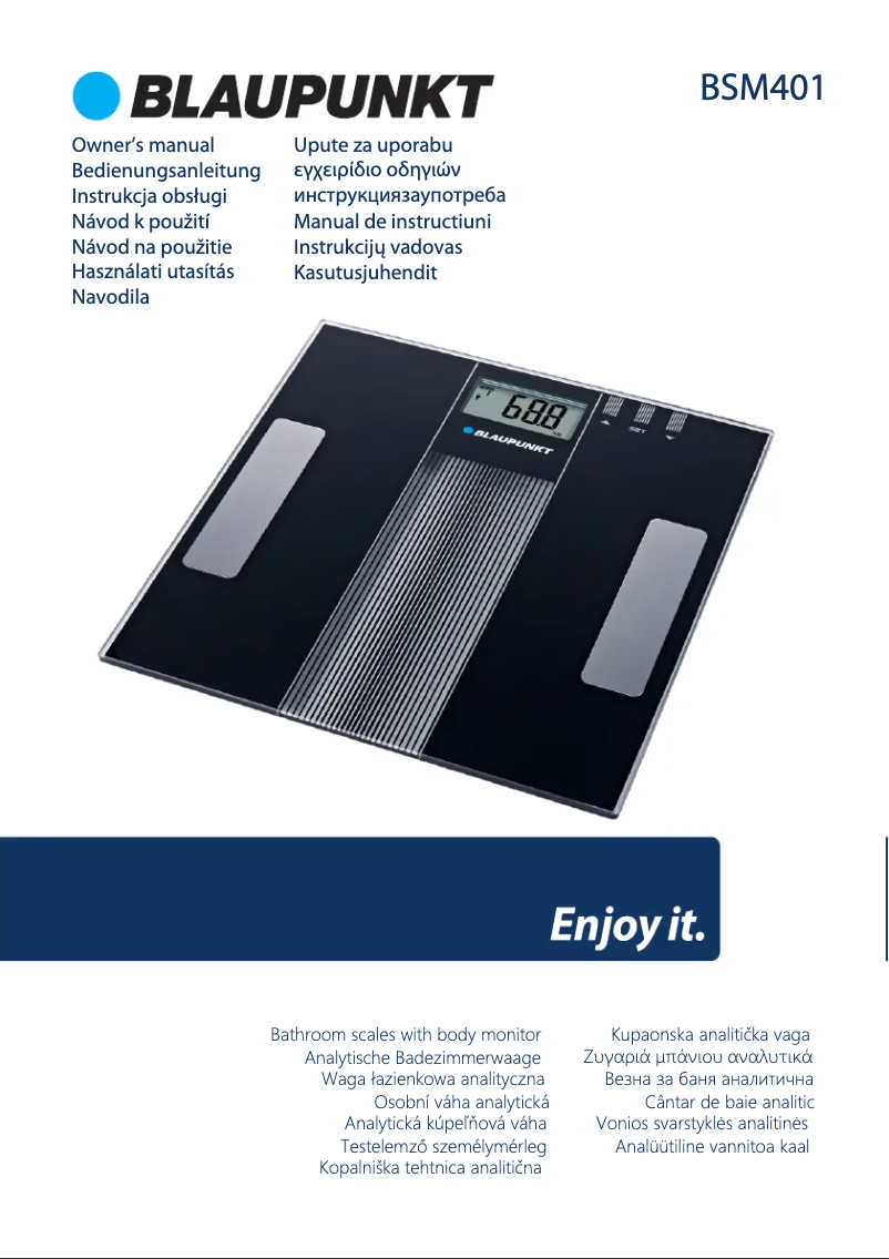 Page 1 de la notice Manuel utilisateur Blaupunkt BSM401