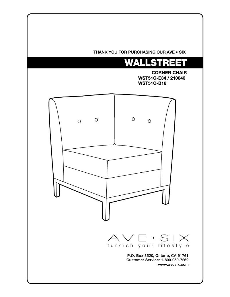Image de la première page du manuel de l'appareil Wall Street WST51C