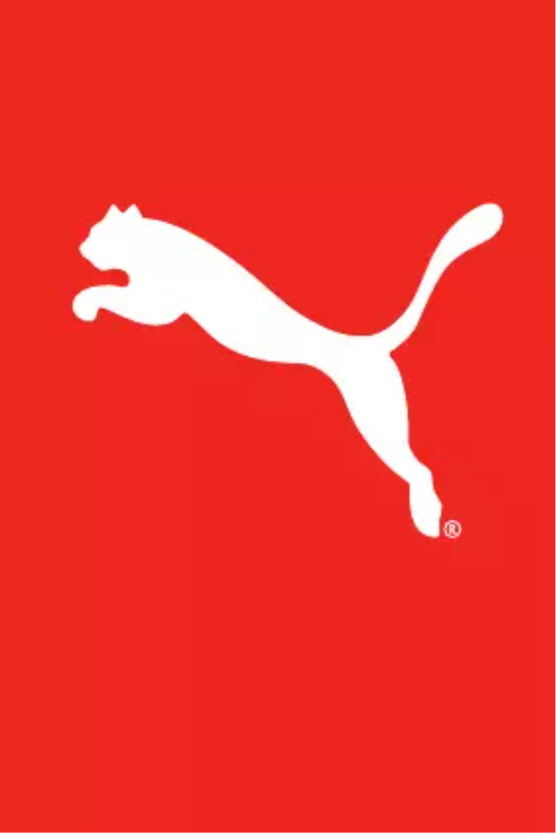 Page n°1 - Manuel utilisateur Puma Flat Screen