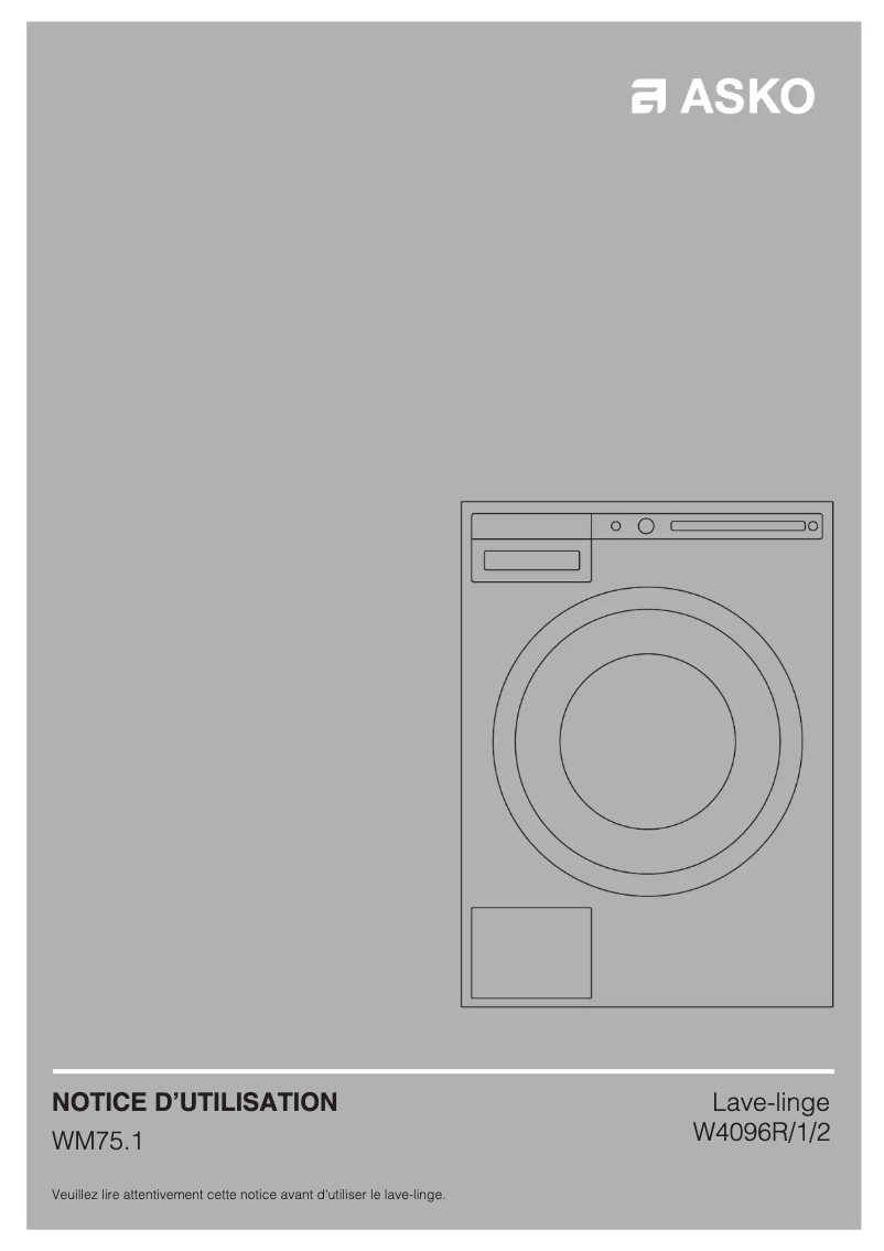 Imagen de la primera página del manual del dispositivo W4096P.W