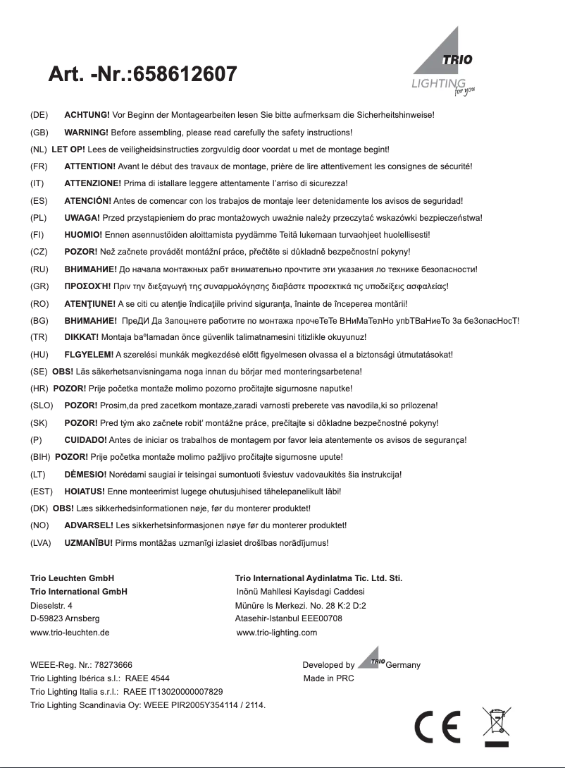 Page 1 de la notice Manuel utilisateur Trio Lighting Contender 658612607