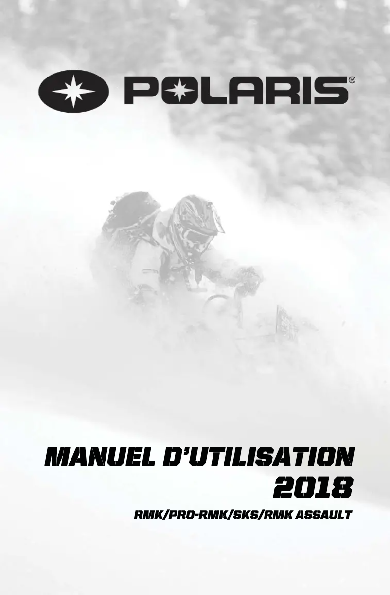Image de la première page du manuel de l'appareil 800 Pro-RMK 174 (2018)