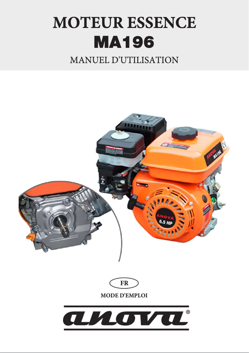 Imagen de la primera página del manual del dispositivo MA196