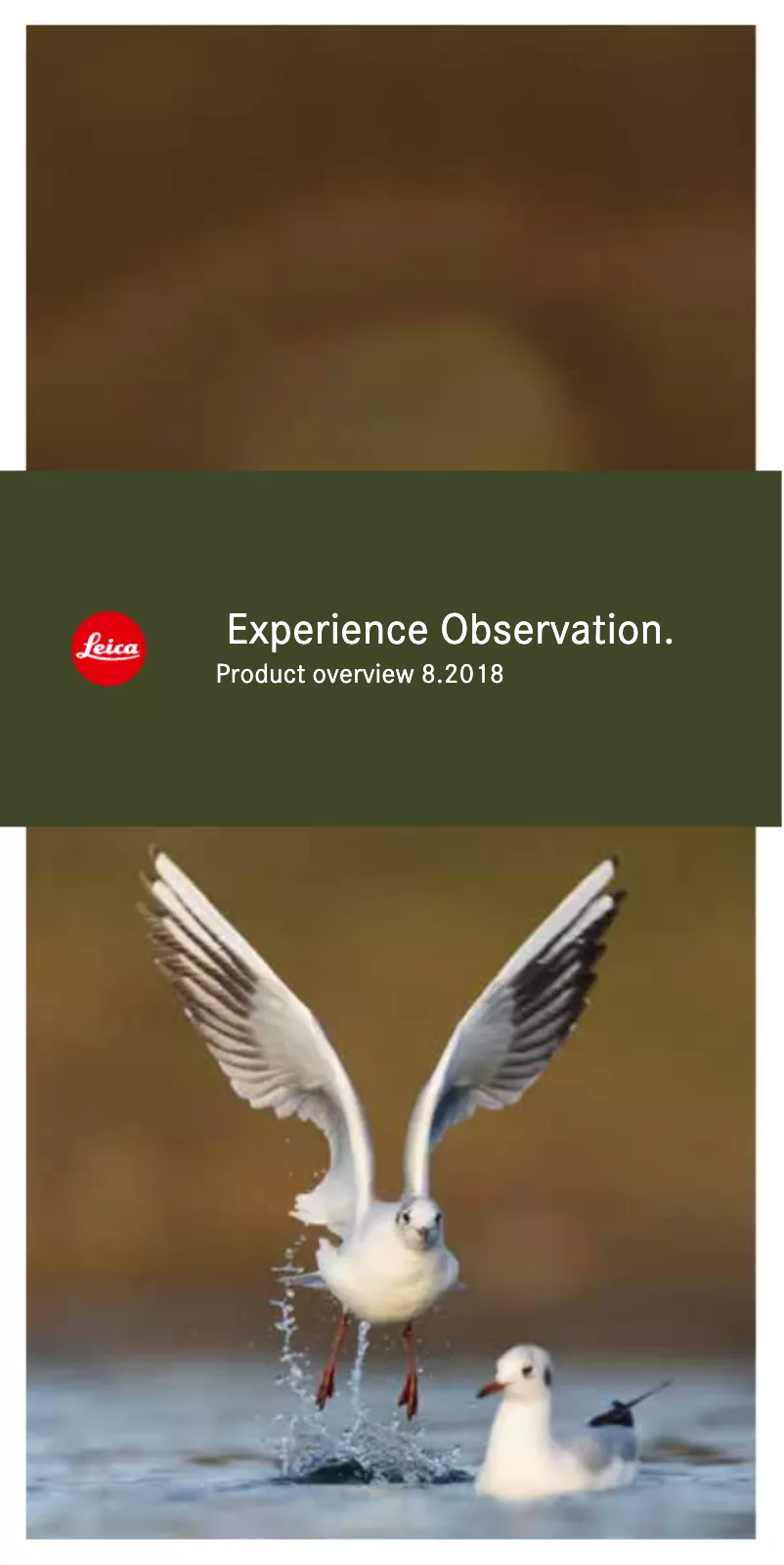 Página 1 del manual Folleto Leica Noctivid 8x42