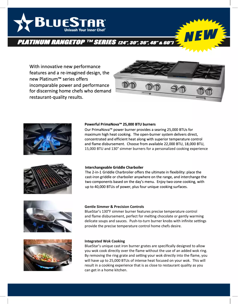 Imagen de la primera página del manual del dispositivo BSPRT304B