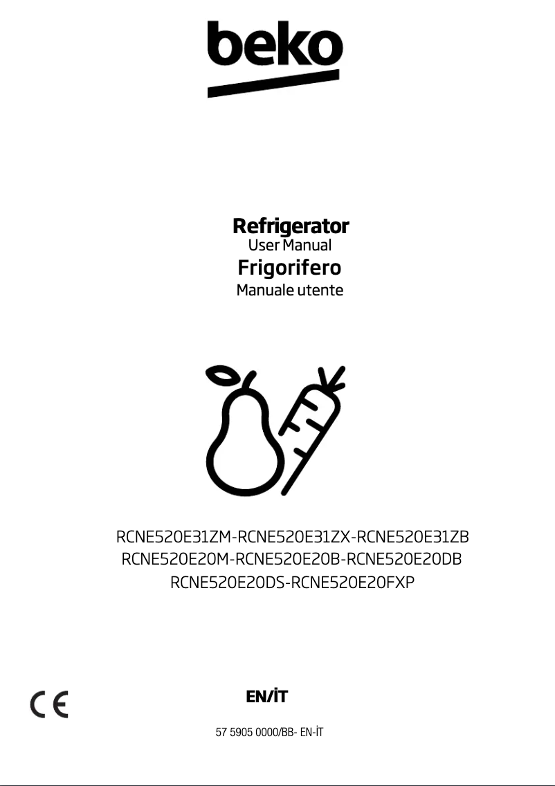Page 1 de la notice Manuel utilisateur Beko RCNE520E20DB
